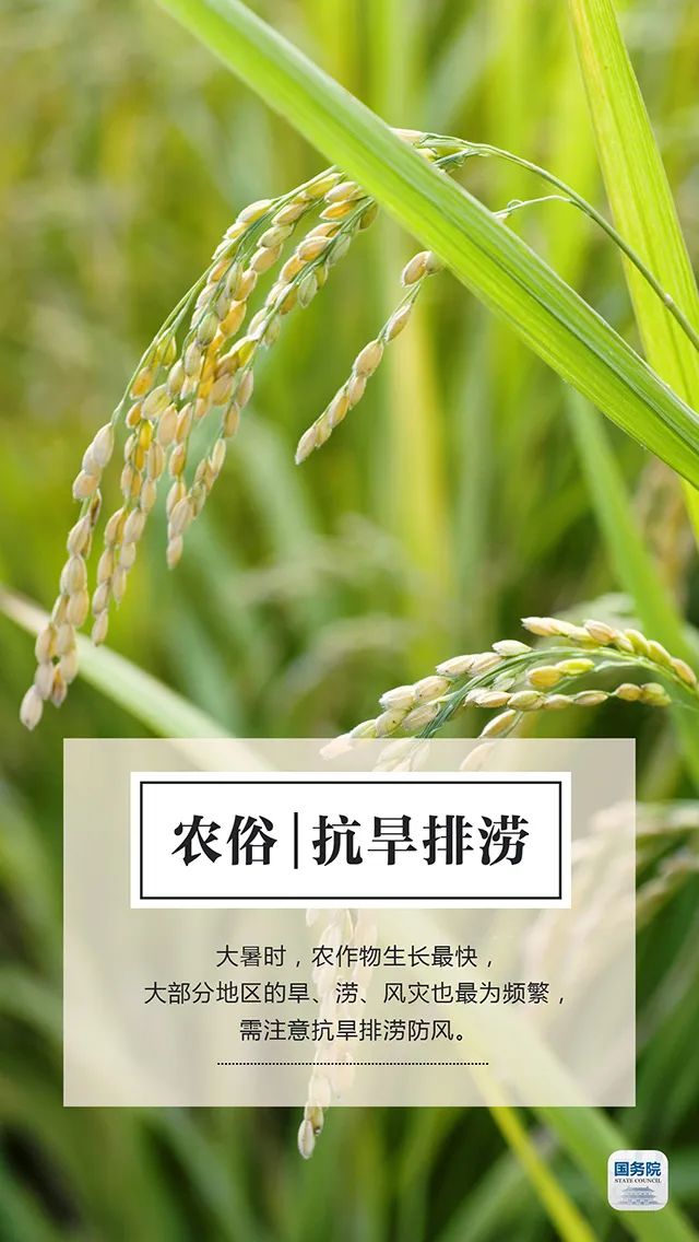 大暑|今日大暑 | 最热热热热的时节来了