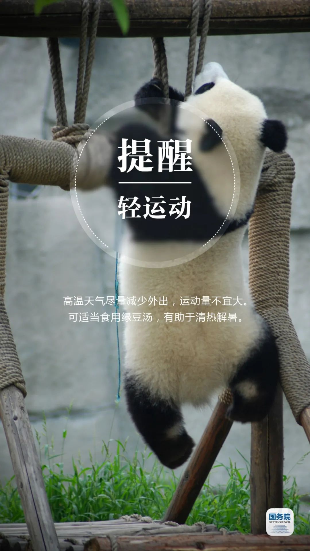 大暑|今日大暑 | 最热热热热的时节来了