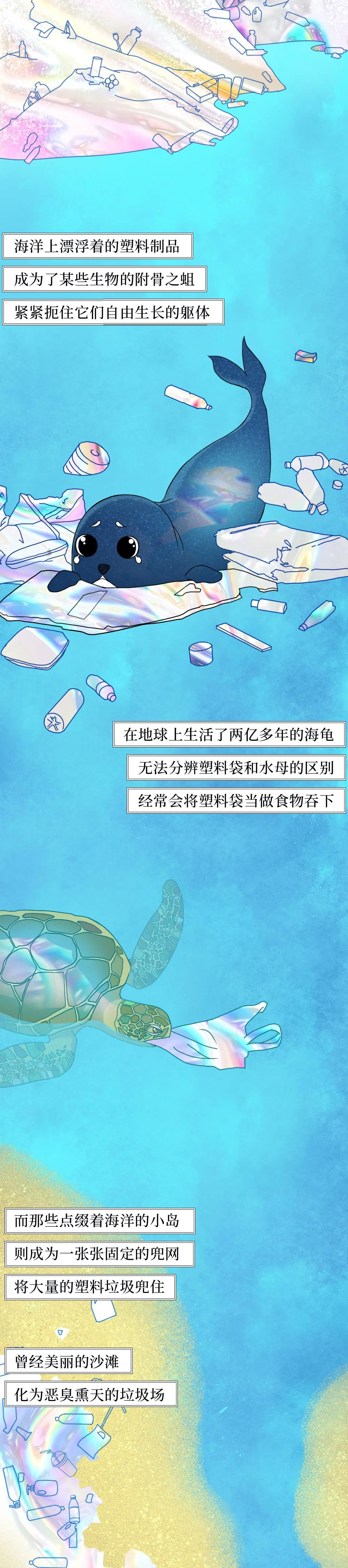 国际|塑料垃圾入侵人体全过程曝光