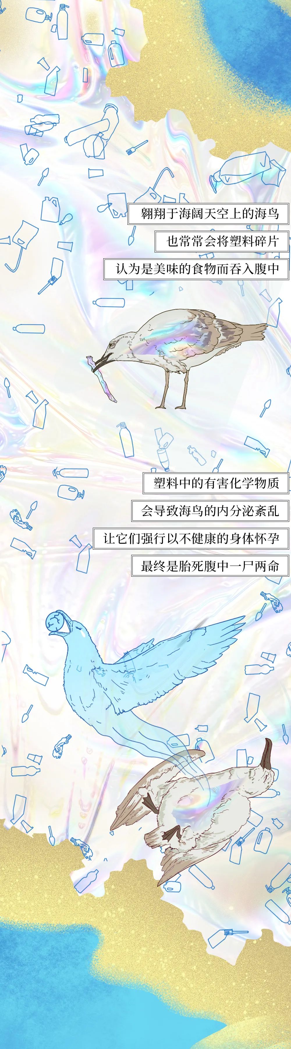 国际|塑料垃圾入侵人体全过程曝光