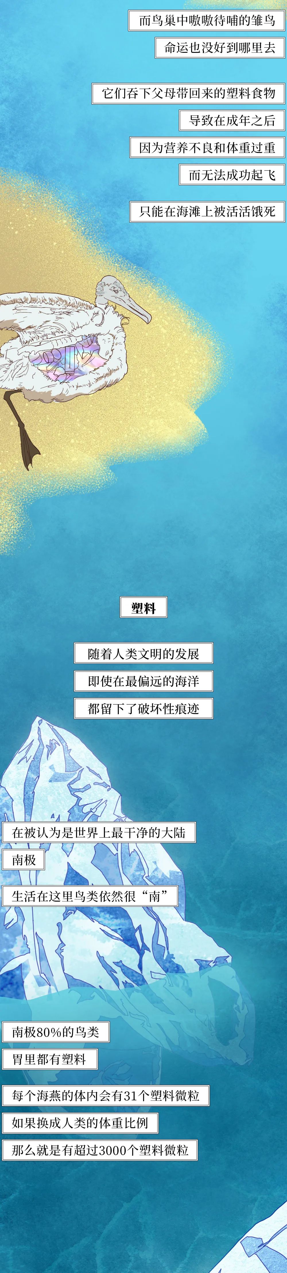 国际|塑料垃圾入侵人体全过程曝光