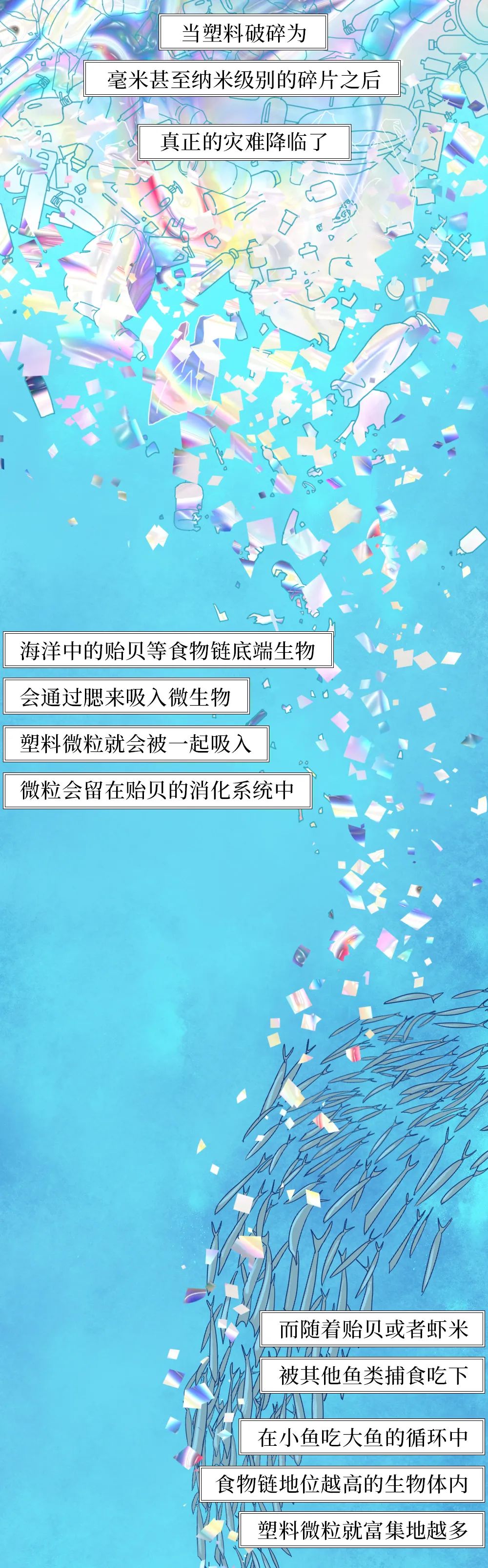 国际|塑料垃圾入侵人体全过程曝光