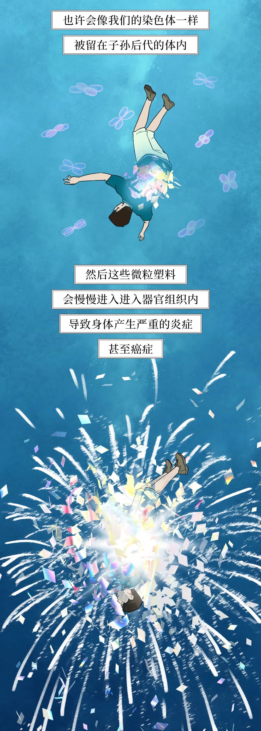 国际|塑料垃圾入侵人体全过程曝光