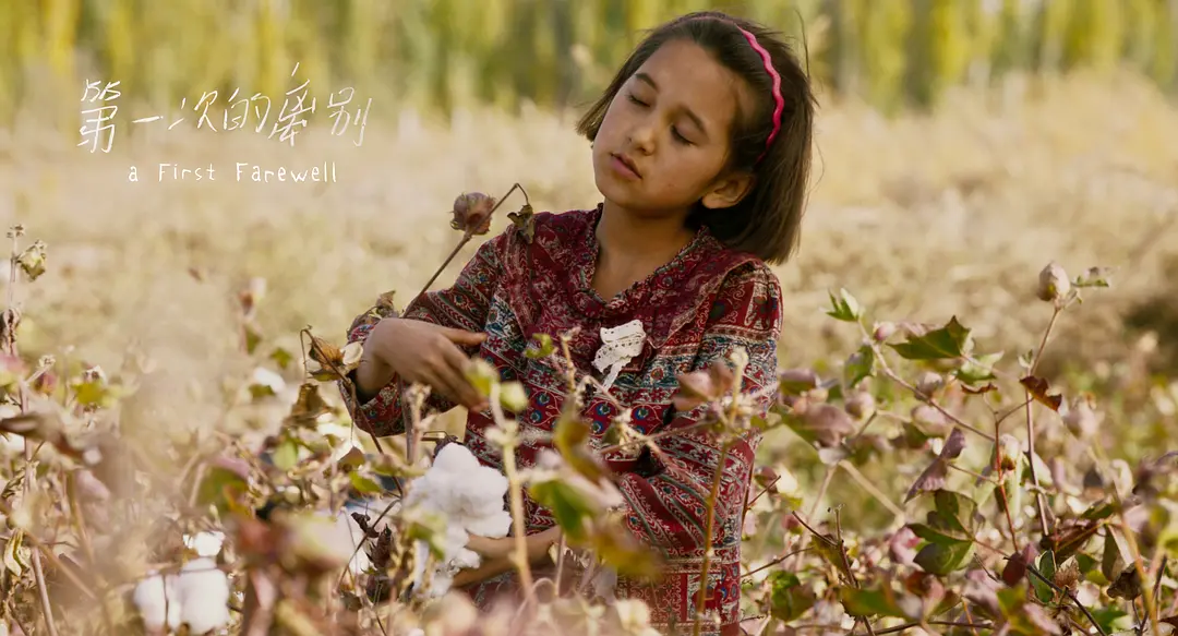 电影院|这个周末你会去看电影吗