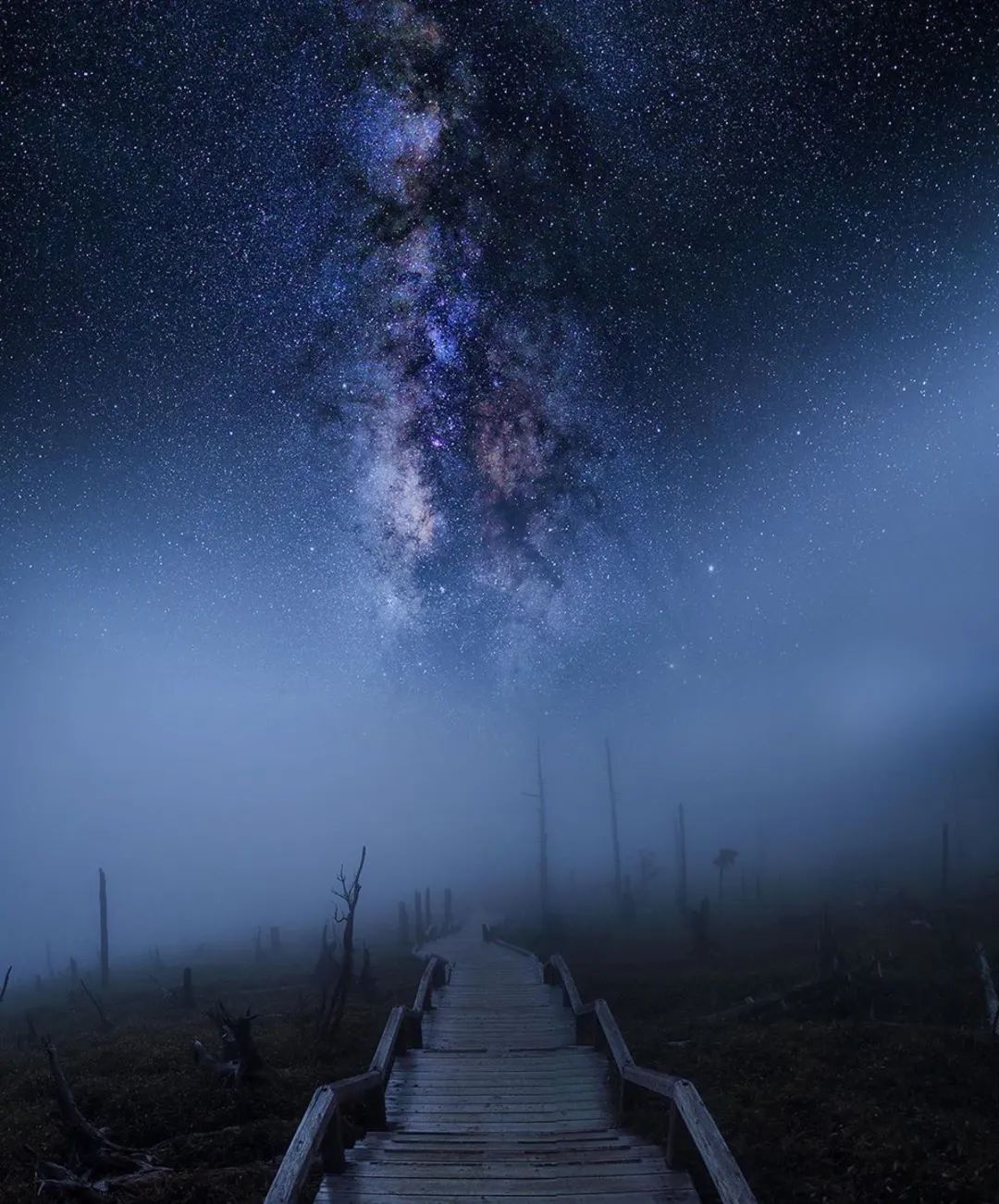 太阳|那些在太阳下山后才能看见的东西