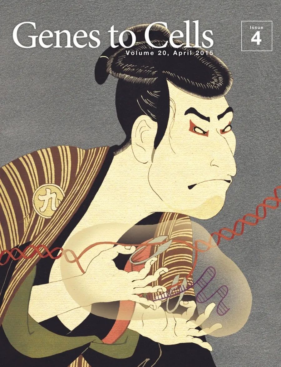 太阳|那些在太阳下山后才能看见的东西