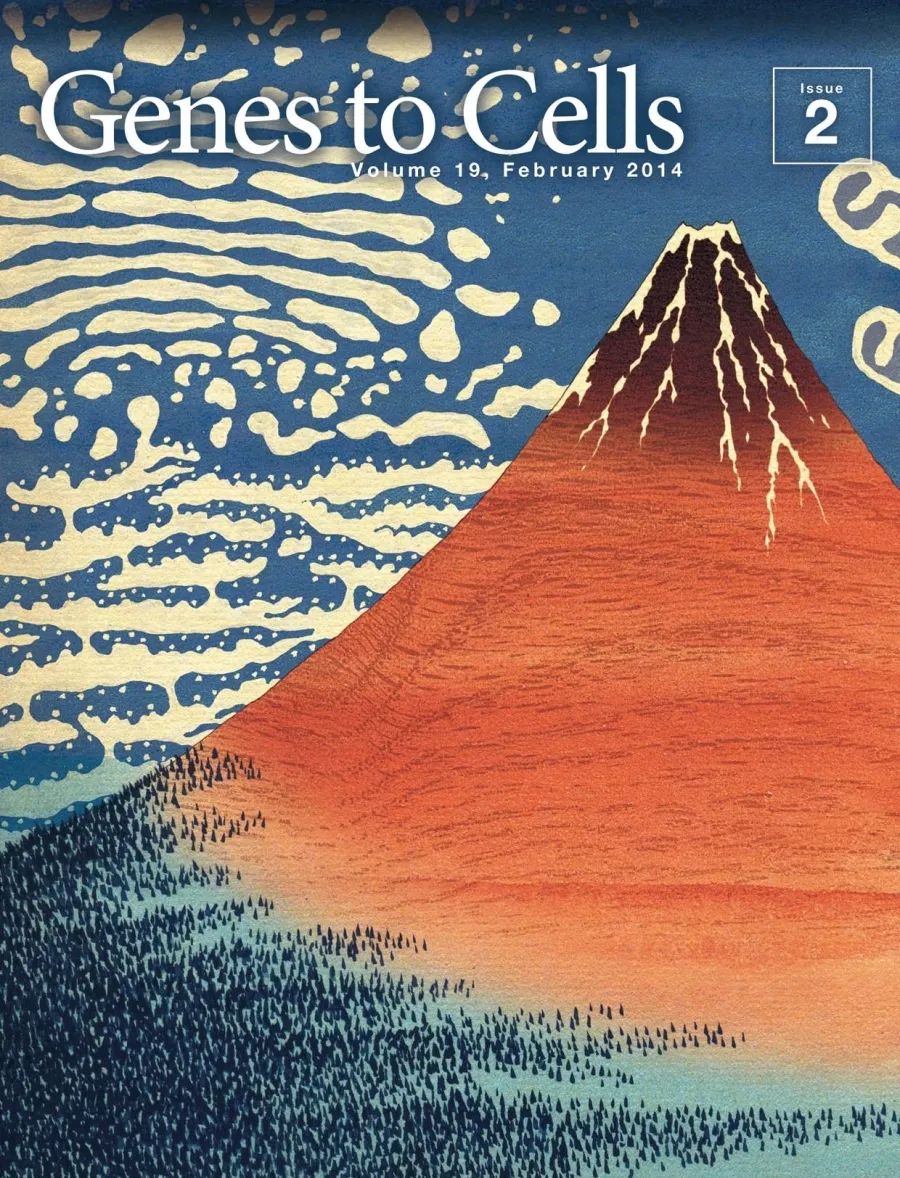 太阳|那些在太阳下山后才能看见的东西