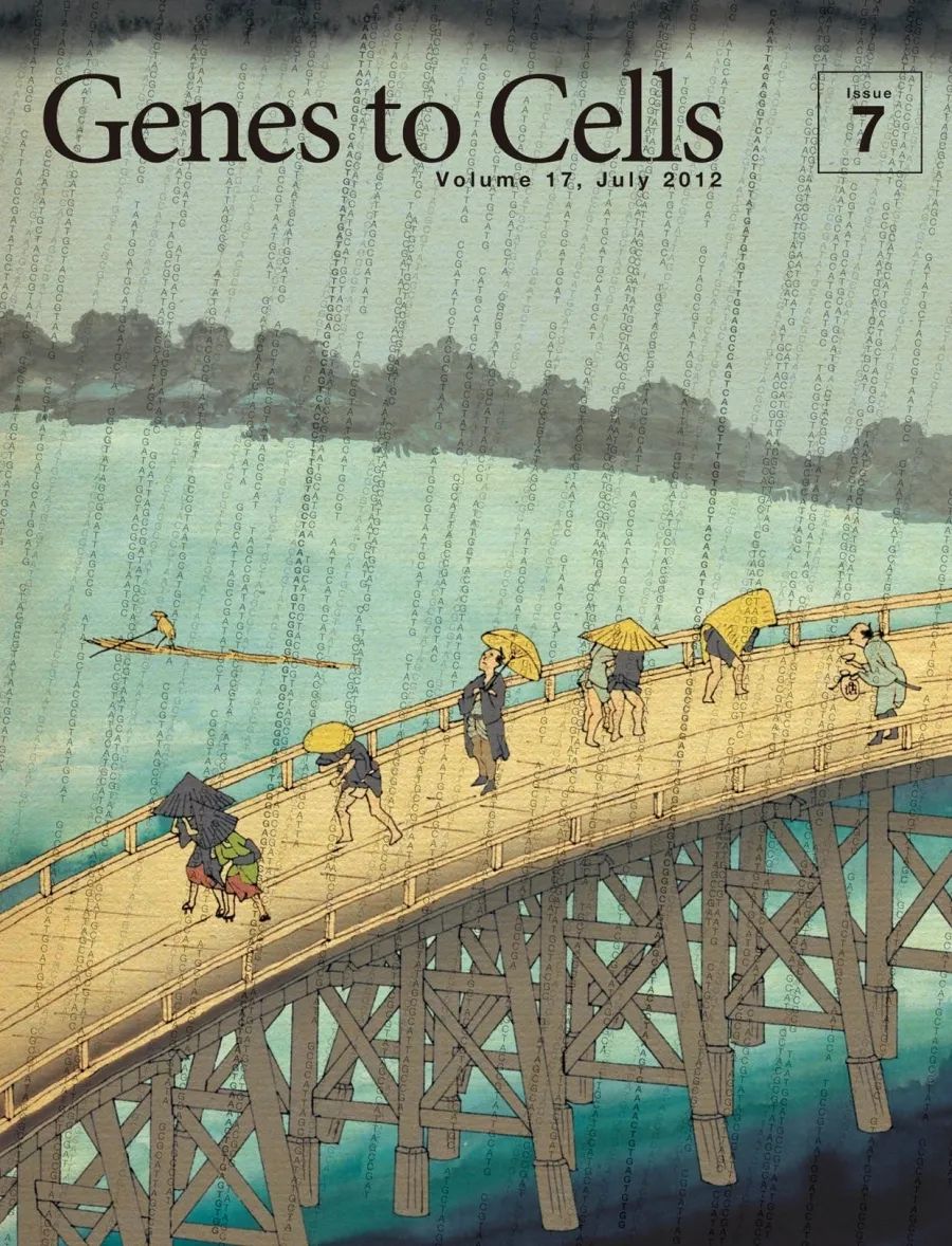 太阳|那些在太阳下山后才能看见的东西