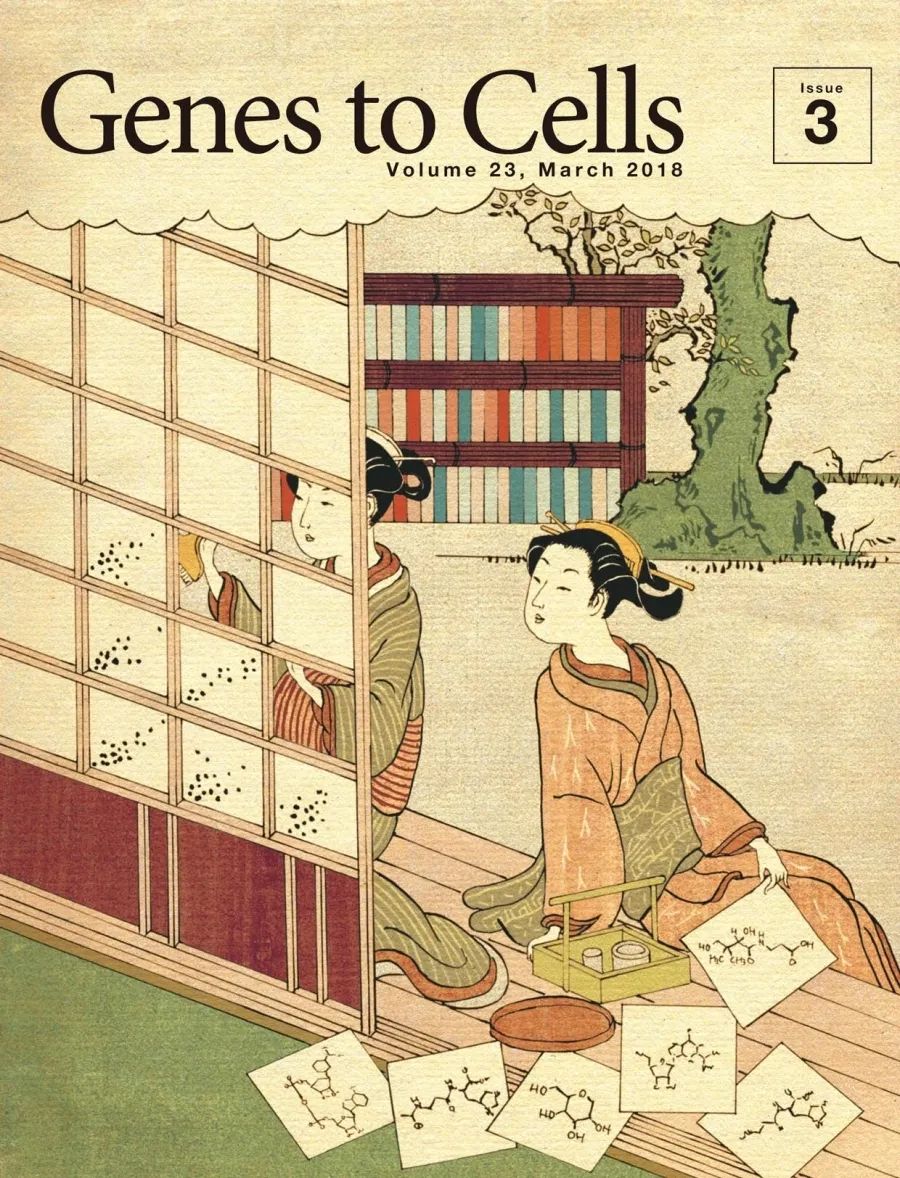 太阳|那些在太阳下山后才能看见的东西