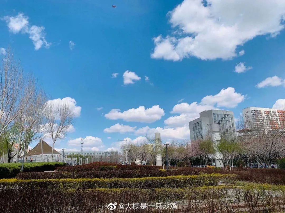 娱乐|你手机里有什么舍不得删除的照片?|团团卧谈会