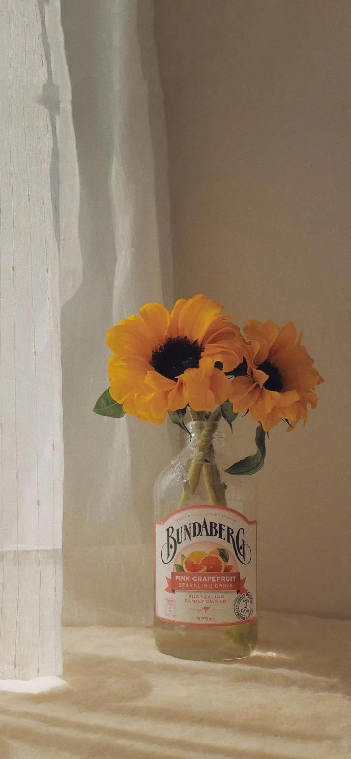 情感|七言 | ?没事早点睡，有空多挣钱