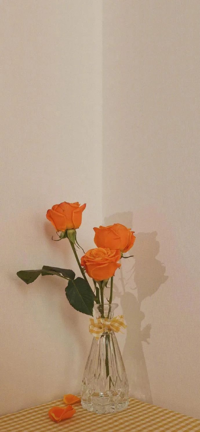 情感|七言 | ?没事早点睡，有空多挣钱