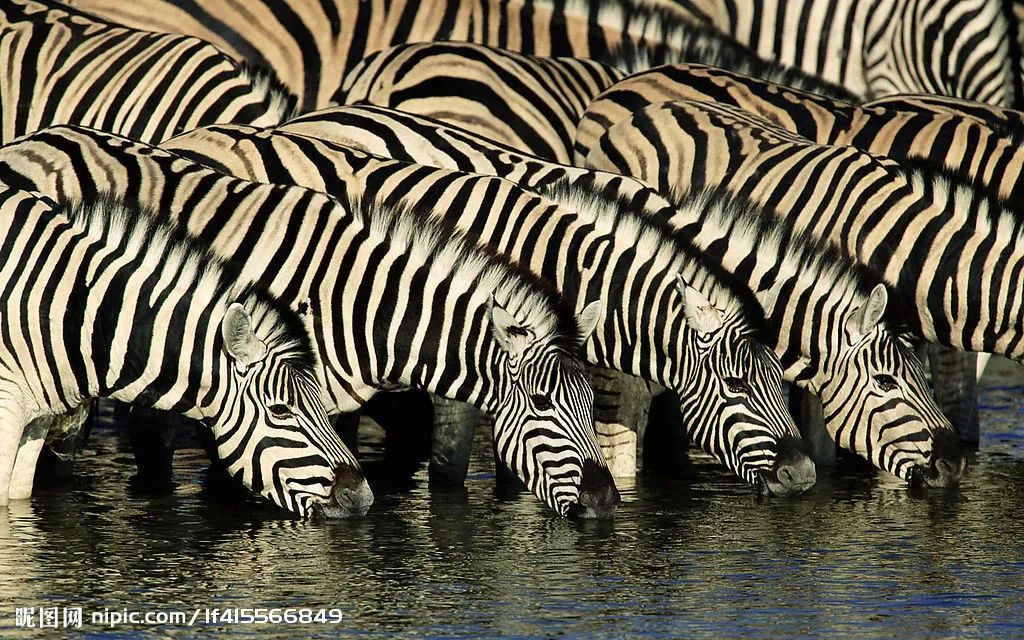 摩尔纹|点进来这篇推送，我的眼睛又花了......