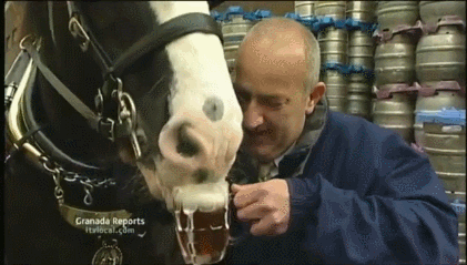 酒驾|酒后骑马,到底算不算酒驾?