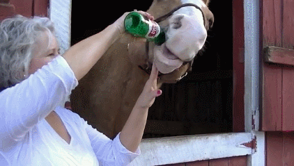 酒驾|酒后骑马,到底算不算酒驾?