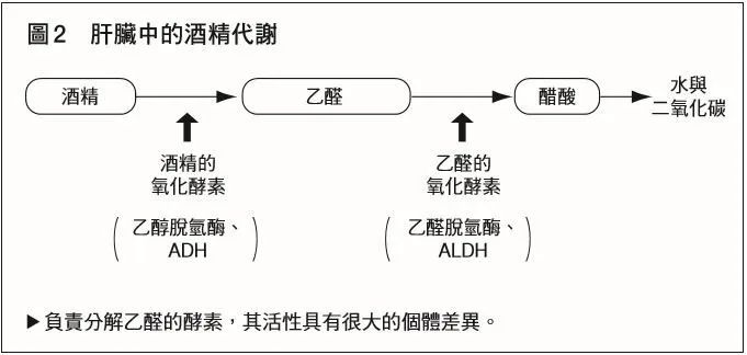 酒驾|酒后骑马,到底算不算酒驾?
