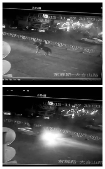 酒驾|酒后骑马,到底算不算酒驾?