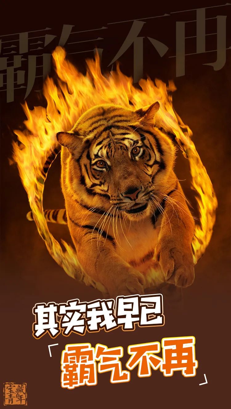 时政|嗷呜~~~嗷呜~~~嗷呜~~~