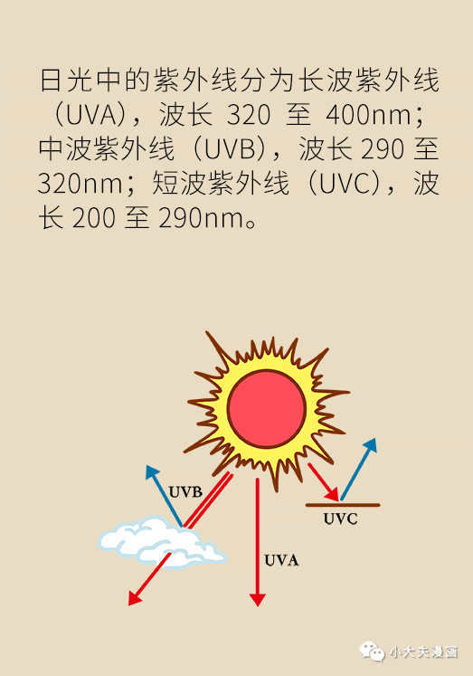 |夏天的防晒秘诀都在这里!让你既不被晒黑,也不被晒伤!
