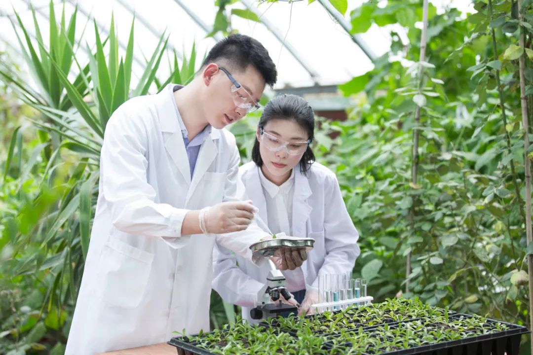 戴建业|“兴趣、兴趣、兴趣”，戴建业建议这样选专业