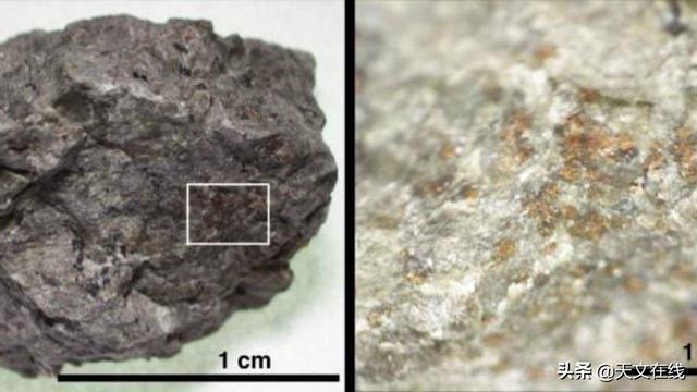 有机物|在著名的火星陨石中发现了生命的组成部分