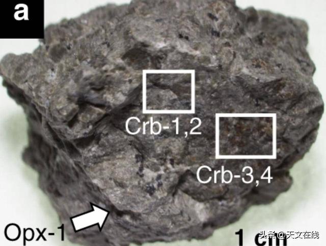 有机物|在著名的火星陨石中发现了生命的组成部分