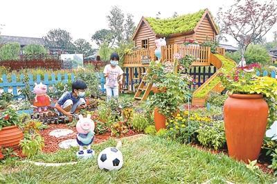 社会|“居家花园样本间”亮相世园公园