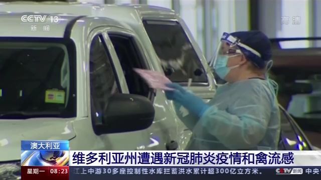 疫情|澳大利亚维多利亚州遭遇新冠肺炎疫情和禽流感