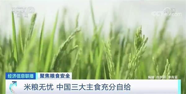 央视财经|联合国警告:前所未有的粮食危机在逼近!一组数据告诉你端牢“中国饭碗”有底气!
