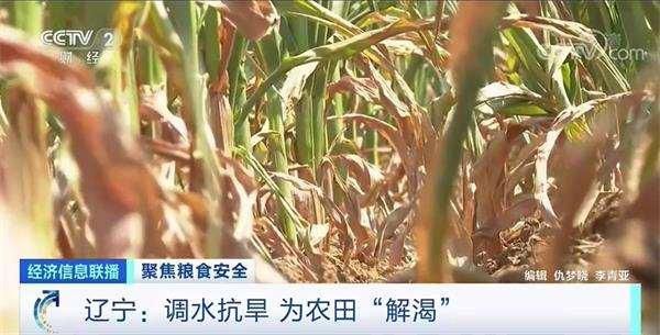 央视财经|联合国警告:前所未有的粮食危机在逼近!一组数据告诉你端牢“中国饭碗”有底气!