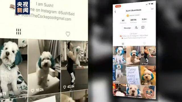 齐鲁网|抖音海外版，在美惹了谁？