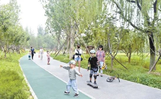 回龙观|林萃路通了，还有37项民生工程年内投用