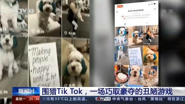 国际|围猎TikTok，一场巧取豪夺的丑陋游戏