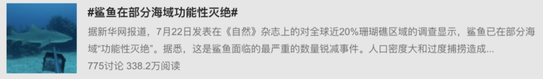 虎鲸|托着尸体走了17天的她，又怀孕了