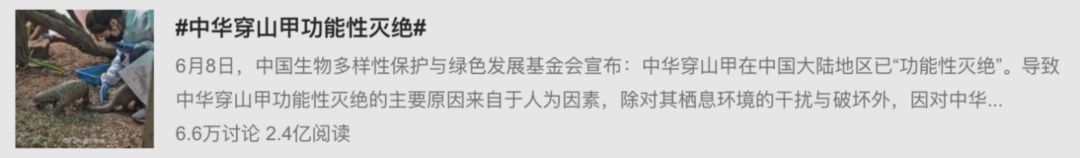 虎鲸|托着尸体走了17天的她，又怀孕了