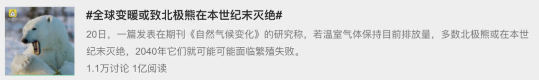 虎鲸|托着尸体走了17天的她，又怀孕了