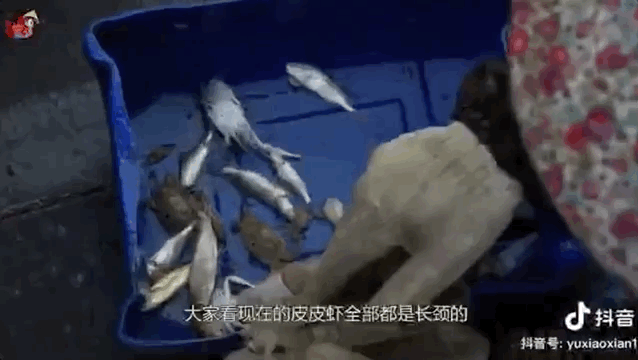 视觉志|那些从大城市消失的年轻人，躲进了深山拍抖音。