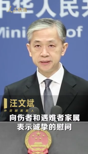 中国青年报|热点 | 超100人遇难，有中国公民受伤！我赴黎维和部队已待命救援