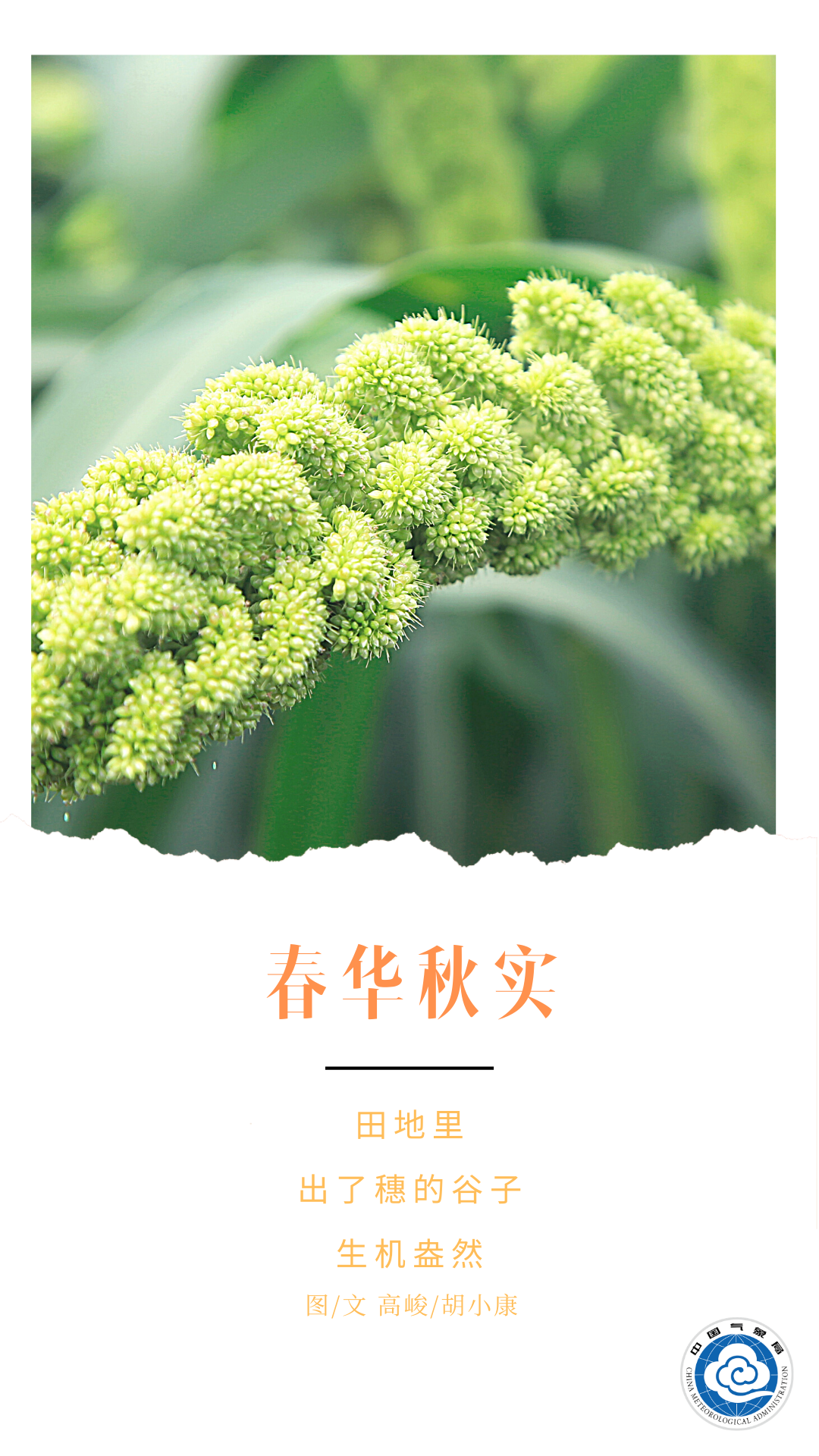 立秋|立秋：天高气爽 兑现春天许下的承诺