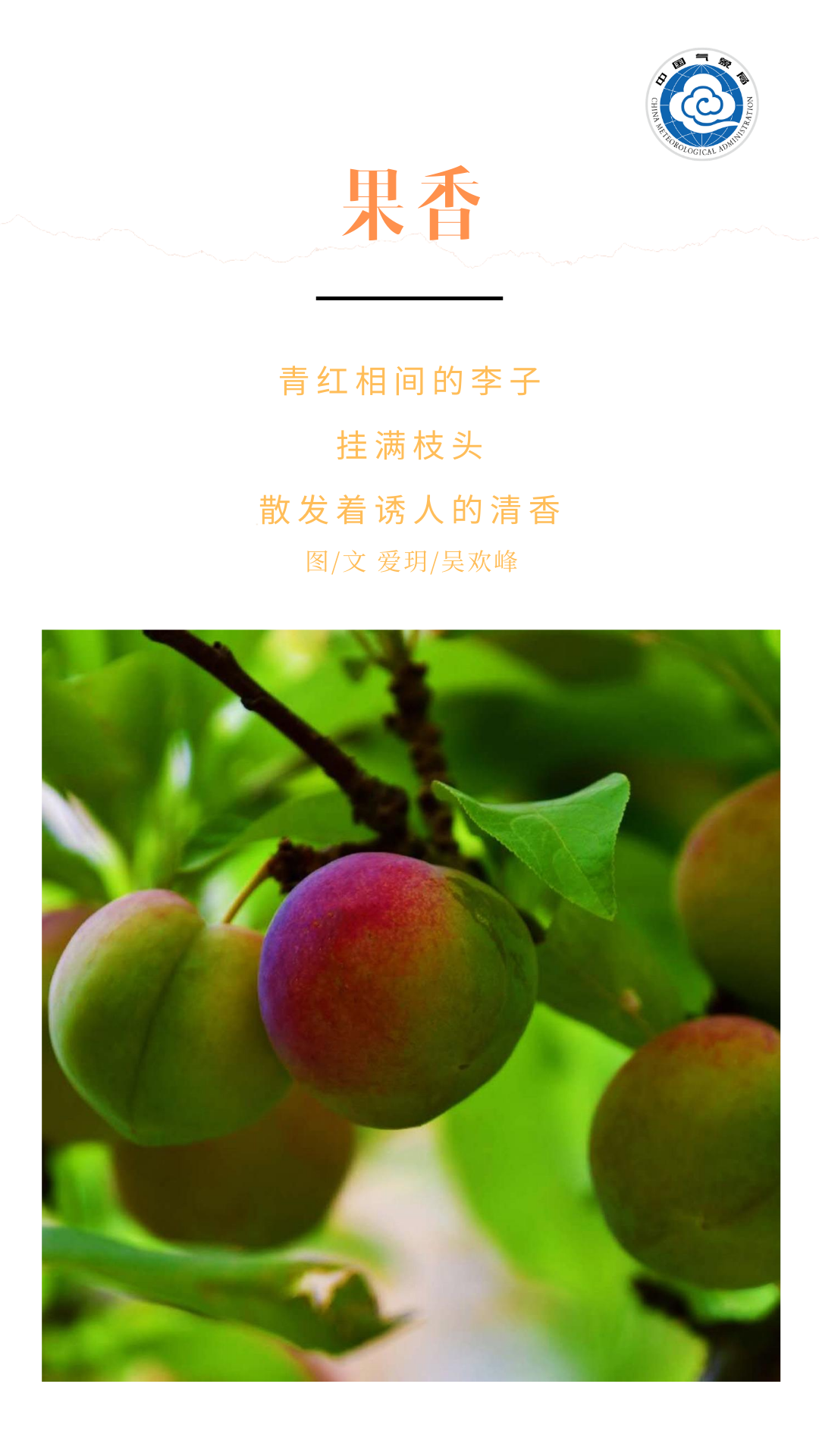 立秋|立秋：天高气爽 兑现春天许下的承诺