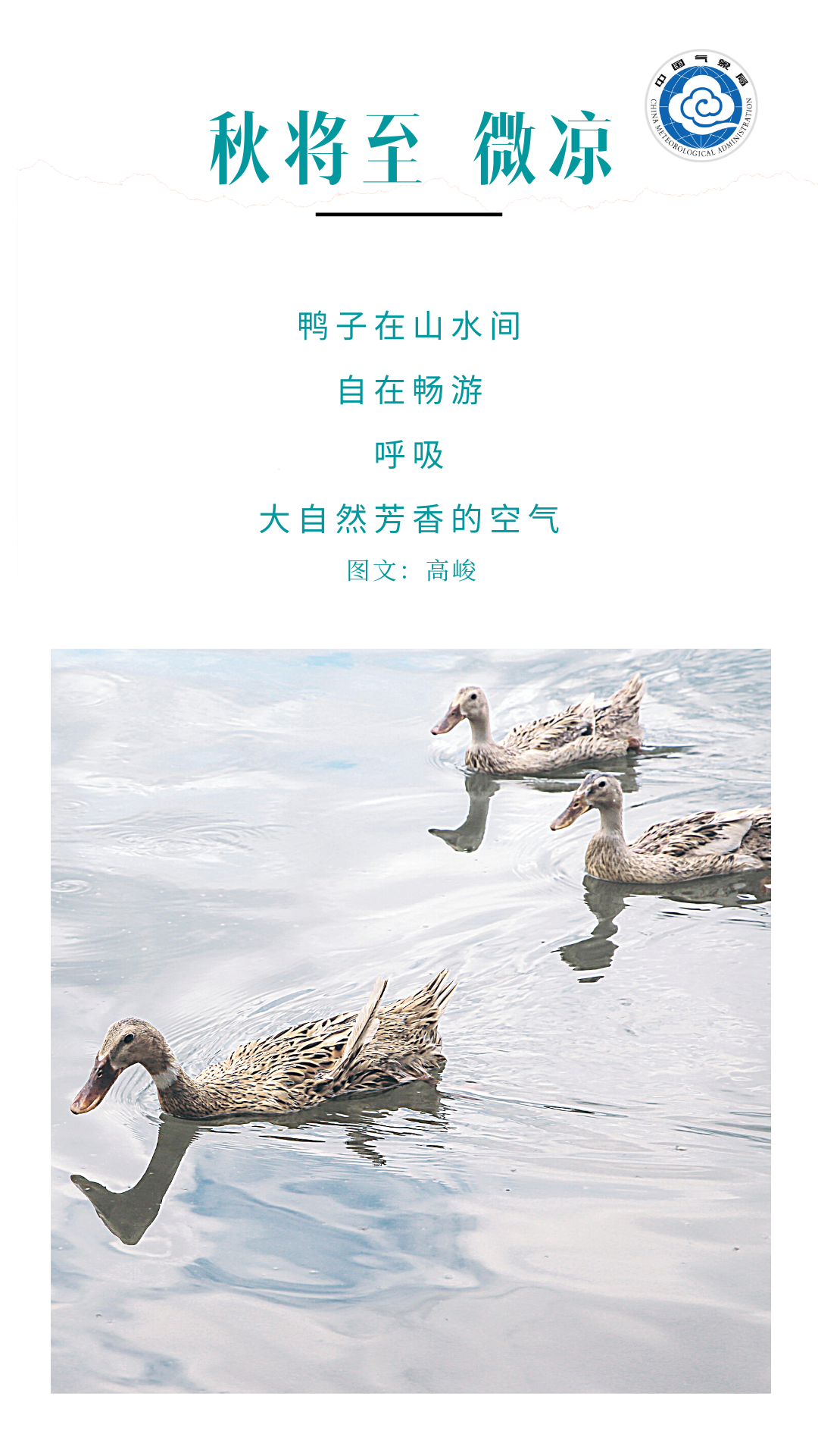 立秋|立秋：天高气爽 兑现春天许下的承诺