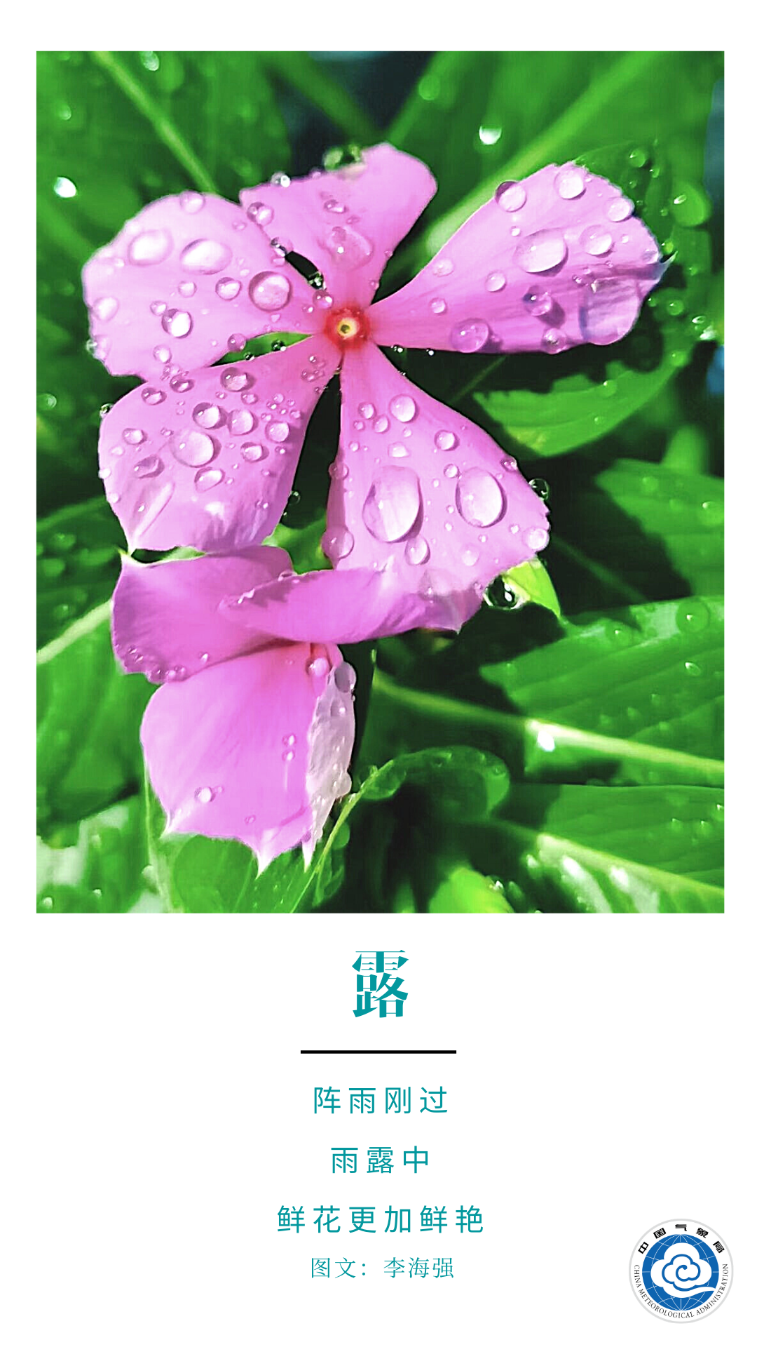 立秋|立秋：天高气爽 兑现春天许下的承诺