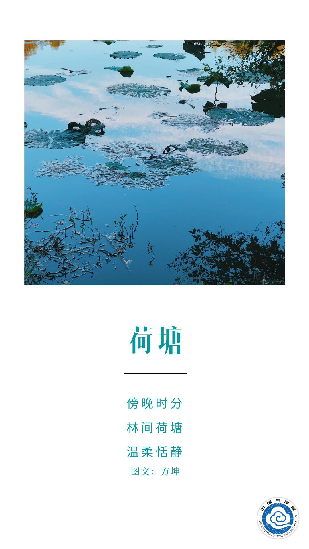 立秋|立秋：天高气爽 兑现春天许下的承诺