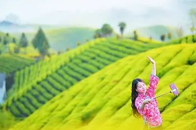 |一部手机“撬动”的直播经济异军突起