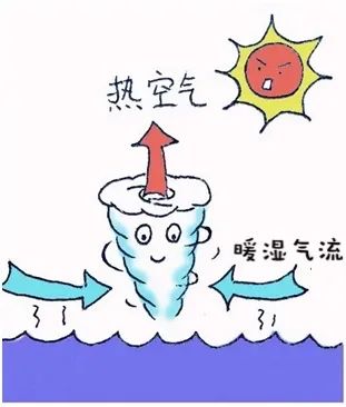 台风|手绘科普插画：台风，暴力“舞者”打哪儿来？