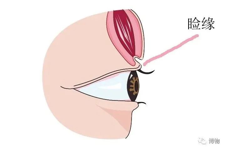 单眼皮|说出来你可能不信，wink能让眼睛变大