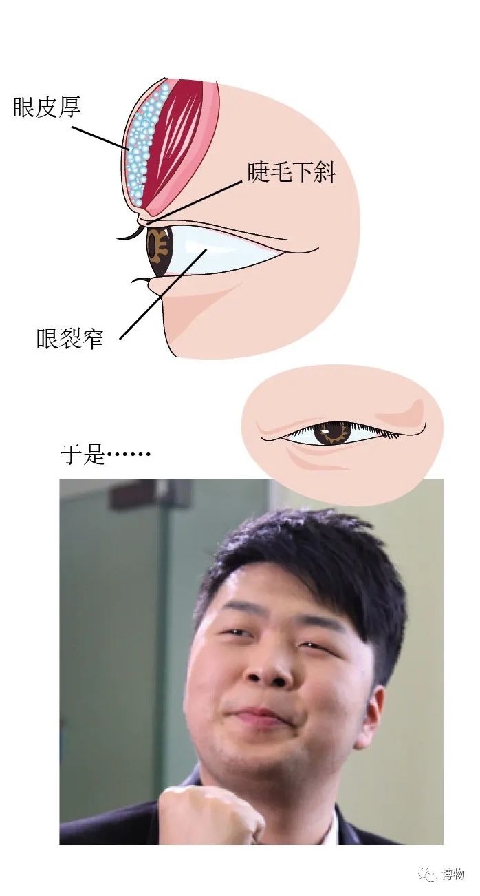 单眼皮|说出来你可能不信，wink能让眼睛变大