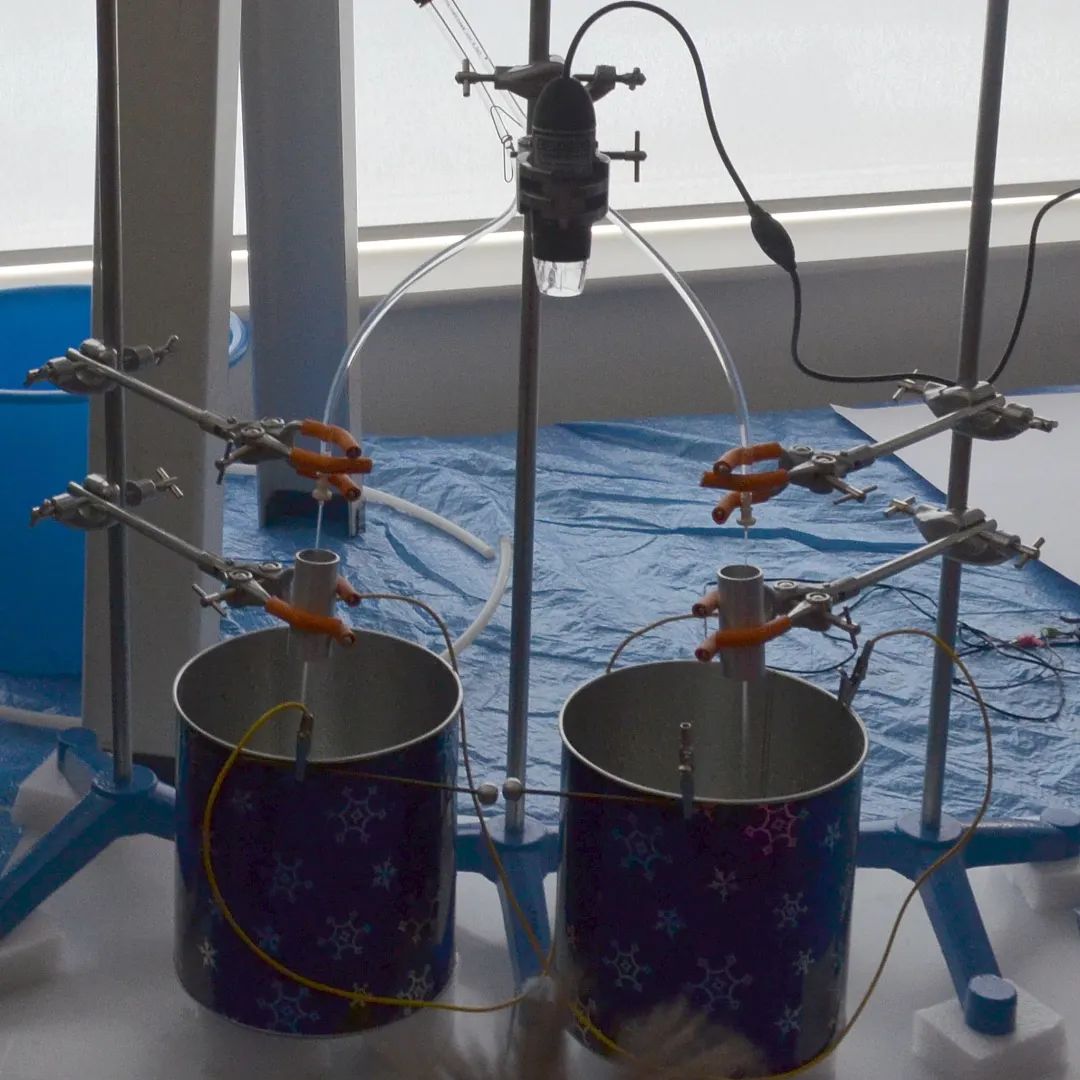 毛细管|今天的文章是真的水……