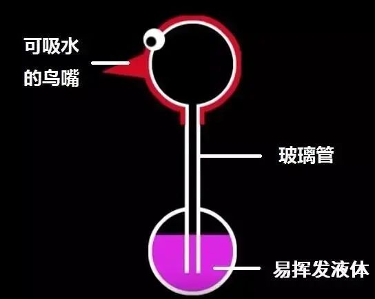 毛细管|今天的文章是真的水……