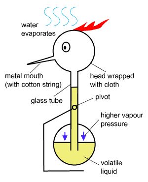 毛细管|今天的文章是真的水……